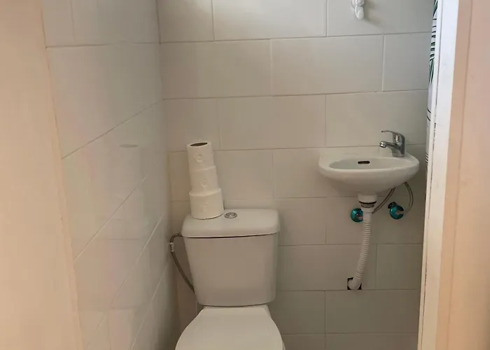 Séjour chez l'habitant Imaculada Royal - Centro De Braga, Historico *